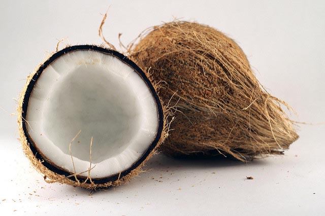 Coconut